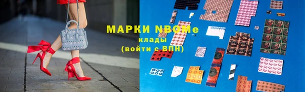 гашик Алексин