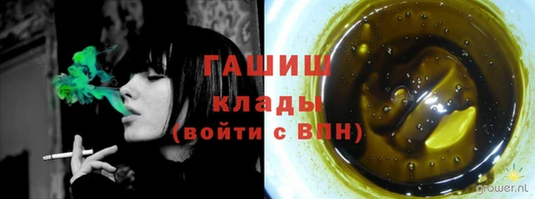 гашик Алексин