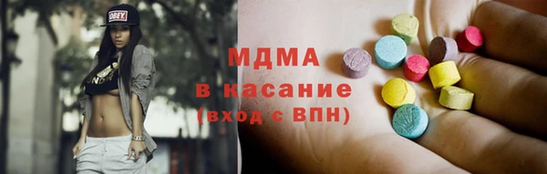 гашик Алексин