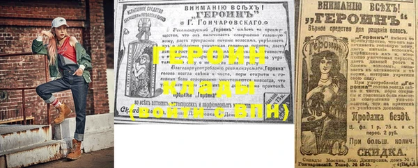 гашик Алексин