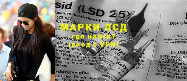 гашик Алексин