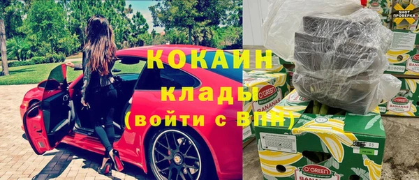 гашик Алексин