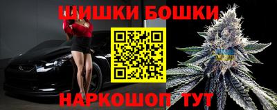 индика Кунгур