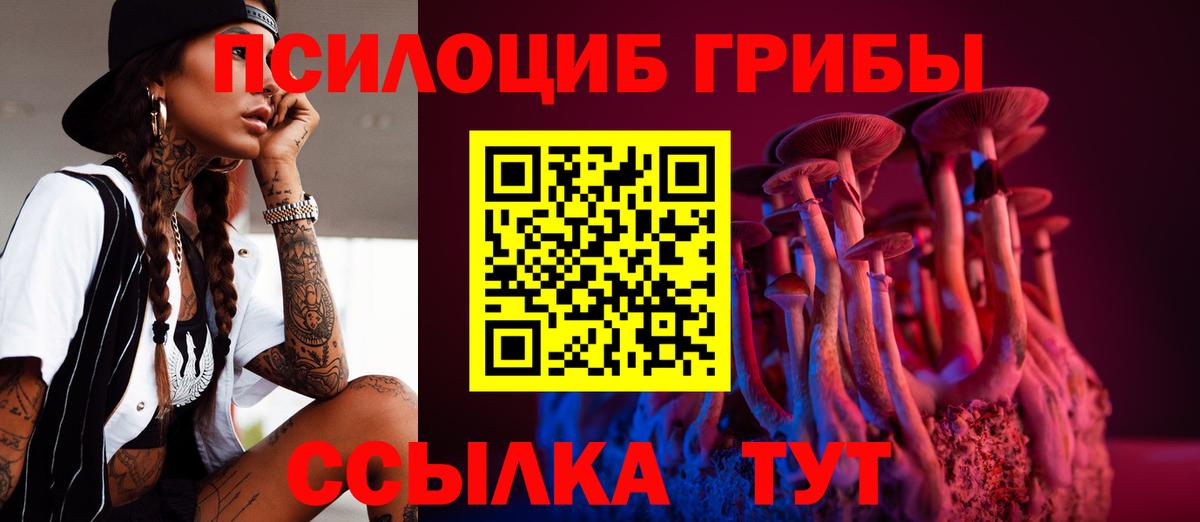 наркота  Псилоцибиновые грибы ЛСД  Канаш  Вход с VPN  Галлюциногенные грибы GOLDEN TEACHER 